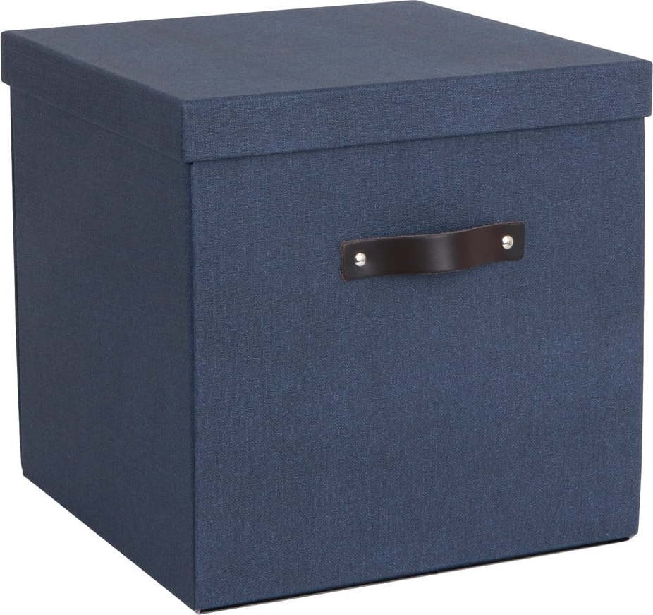 Modrá úložná krabice Bigso Box